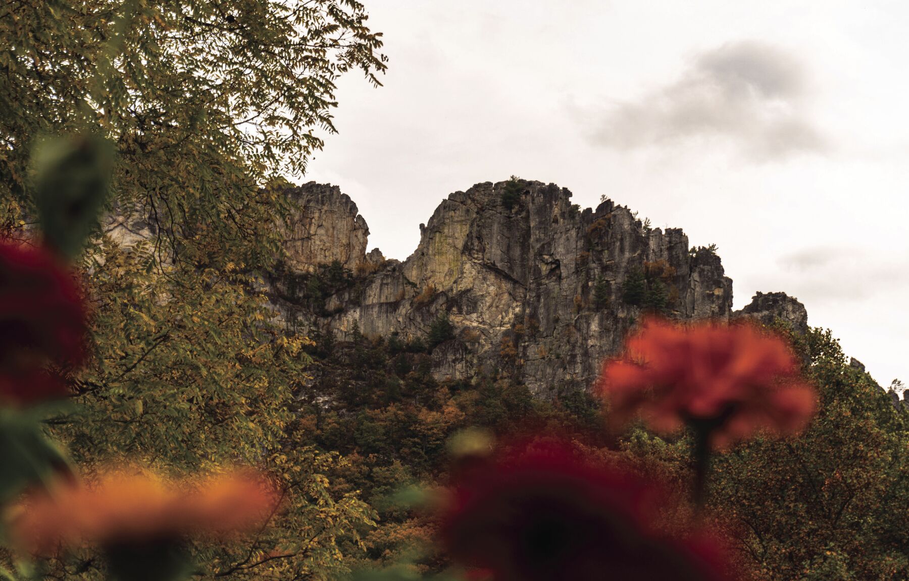 Nemesh-FallColors-1.jpg